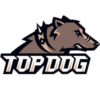 TOP DOG logo